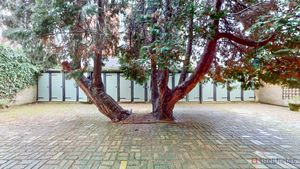 Rear courtyard- click for photo gallery